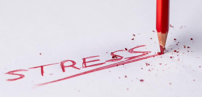 pravda o strese