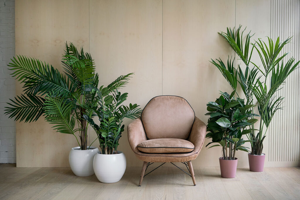 rastliny v interiéri